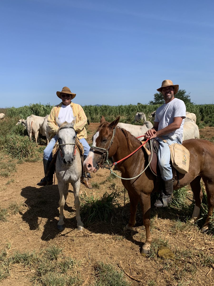 Pai e filho a cavalo no rebanho Nelore da Fazenda Bomboi